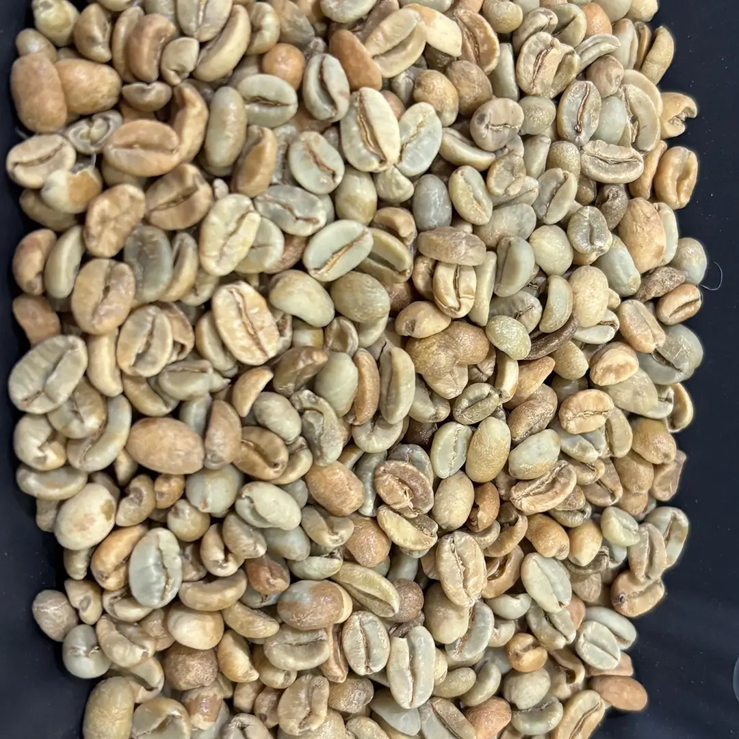 A bowl filled with Gayo natural green coffee beans placed on a wooden table.