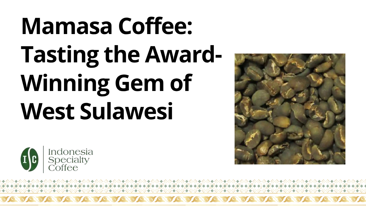 Mamasa Coffee Tasting the Award-Winning Gem of West Sulawesi