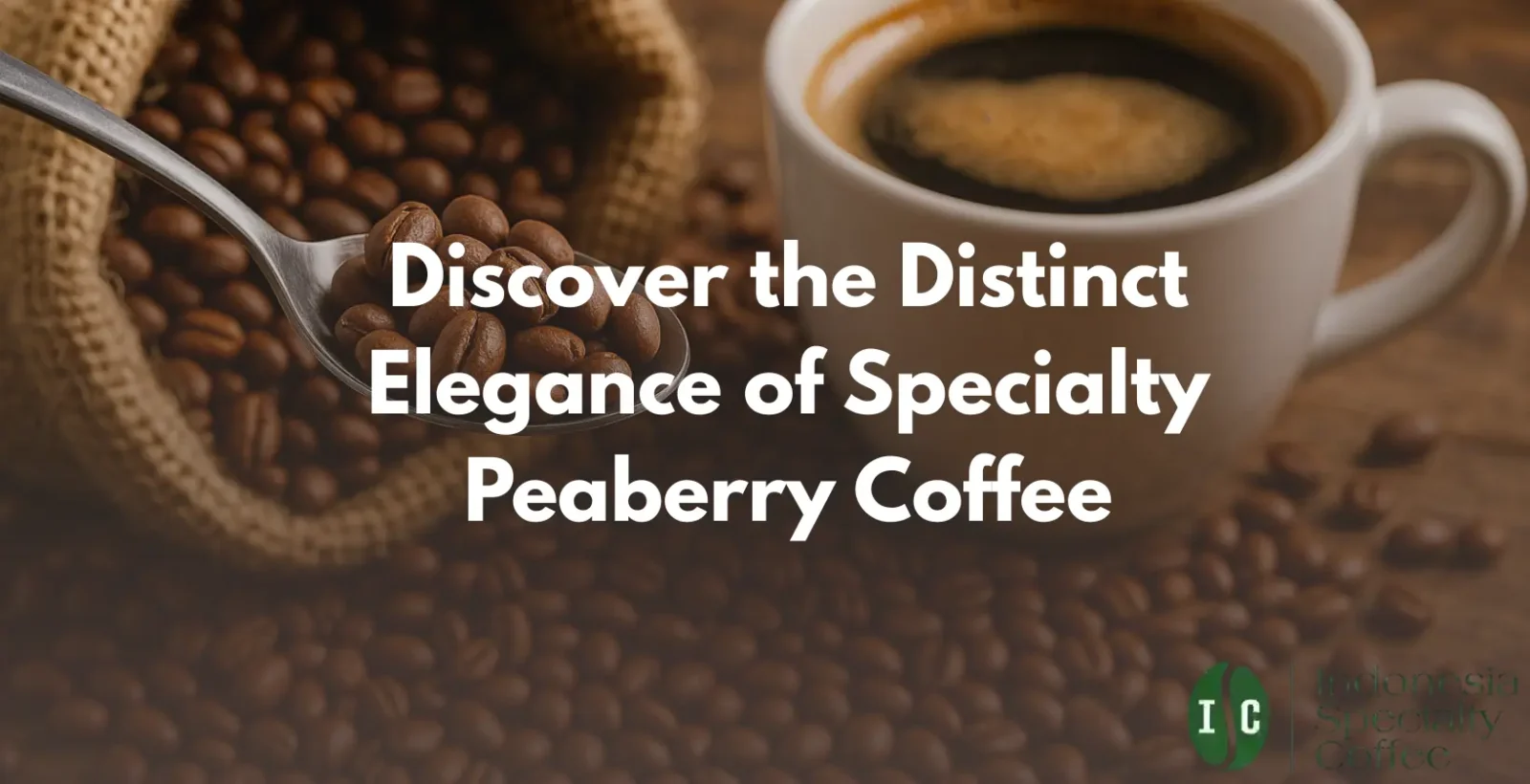 Elegant specialty peaberry coffee beans displayed, highlighting their unique shape and quality for coffee enthusiasts.