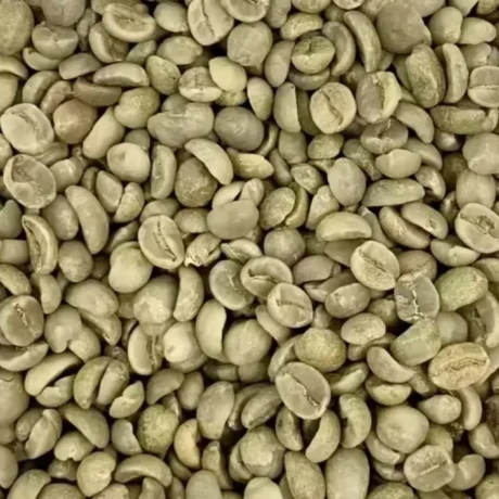 Excelsa Green Beans Coffee