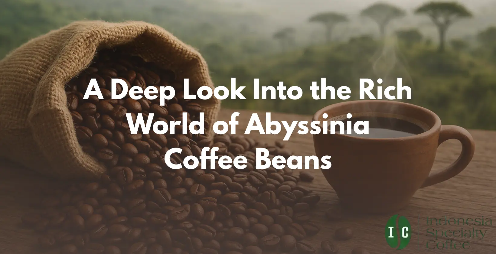 Abyssinia coffee beans