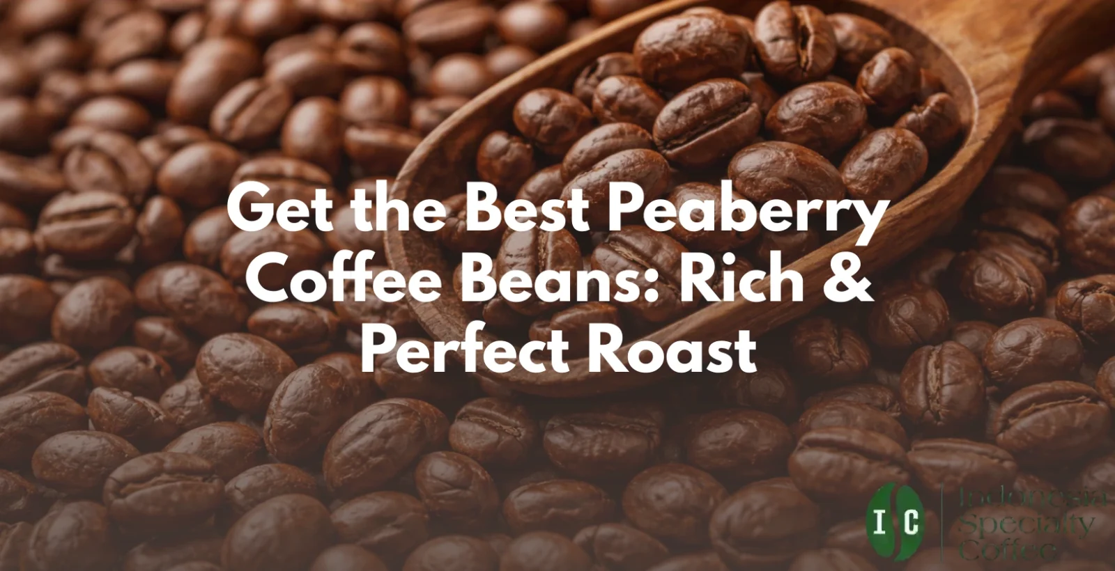 peaberry beans