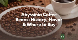 abyssinia coffee beans
