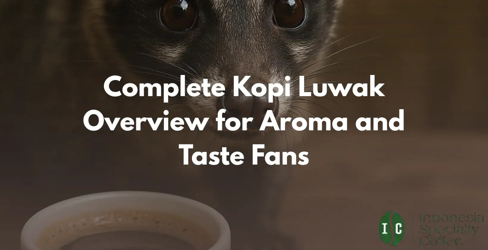 kopi luwak
