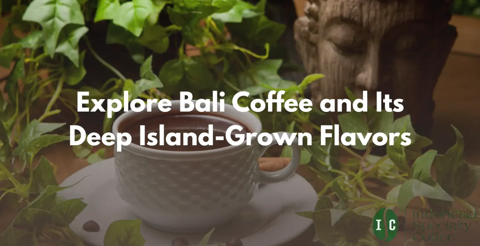 bali coffee