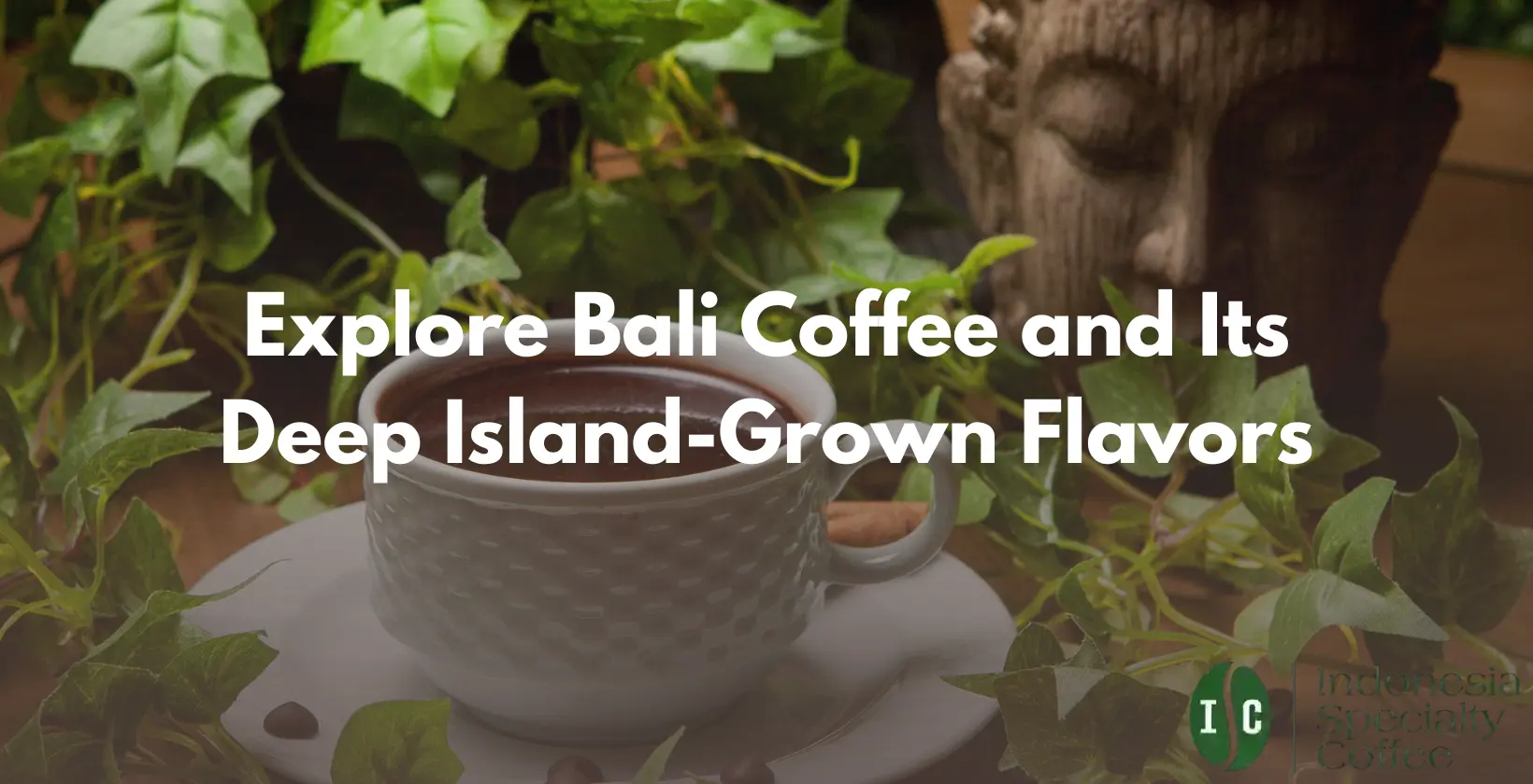 bali coffee