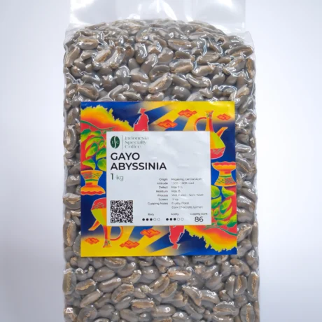 Gayo Abyssinia Coffee package featuring rich brown tones and a logo with coffee beans and mountains in the background.