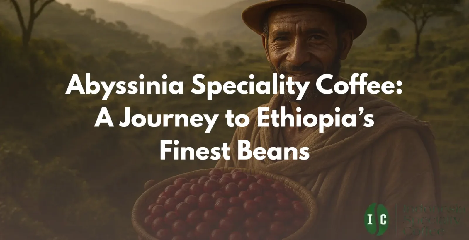 abyssinia speciality coffee