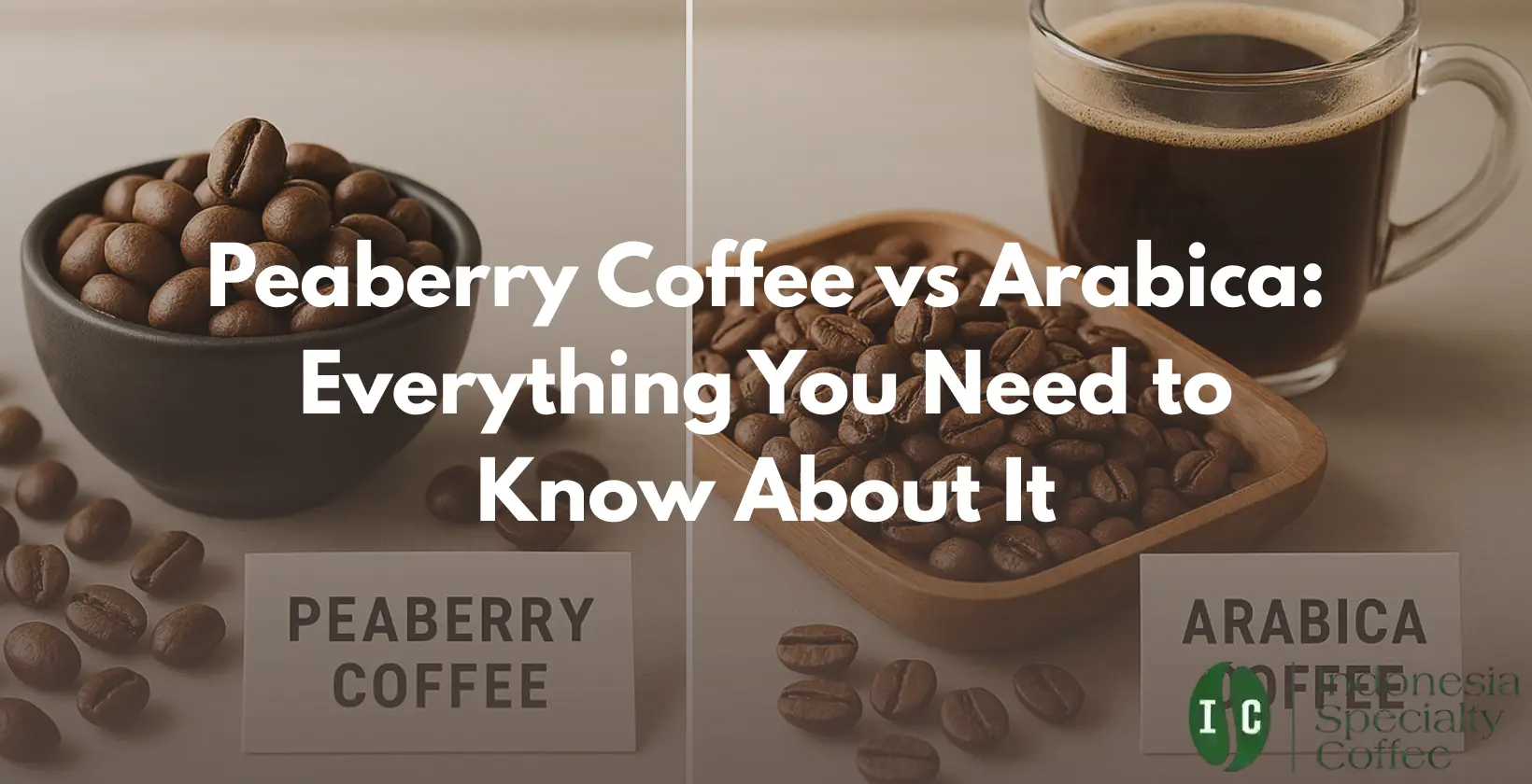 peaberry coffee vs arabica