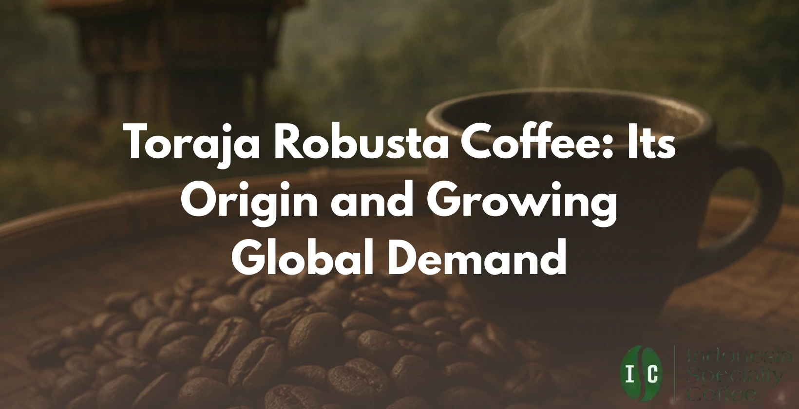 toraja robusta coffee