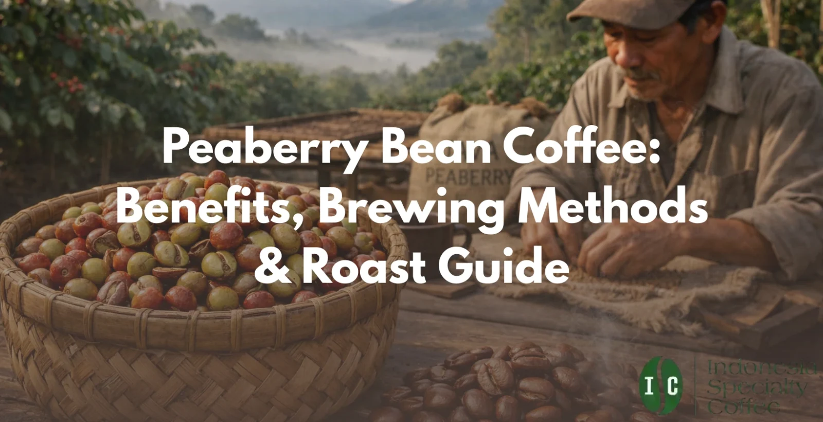 peaberry bean coffee