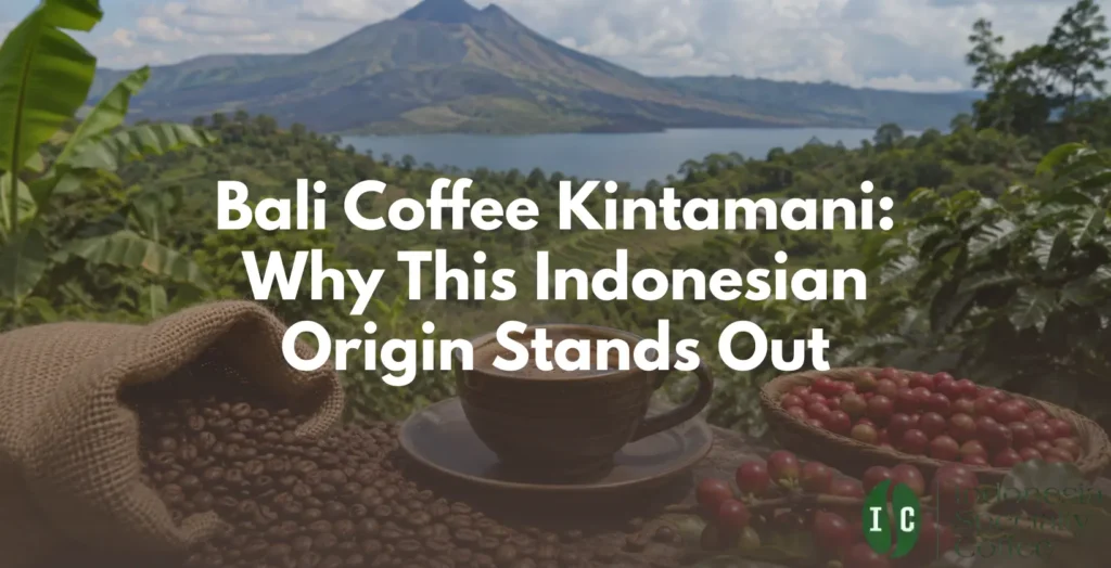 Bali Coffee Kintamani: Why This Indonesian Origin Stands Out