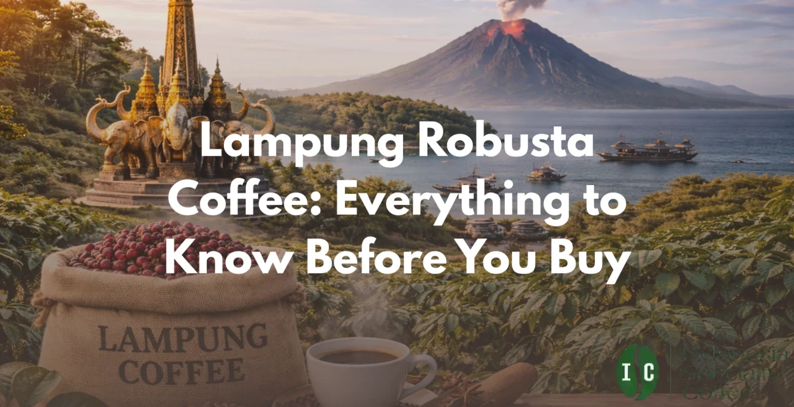 lampung robusta coffee