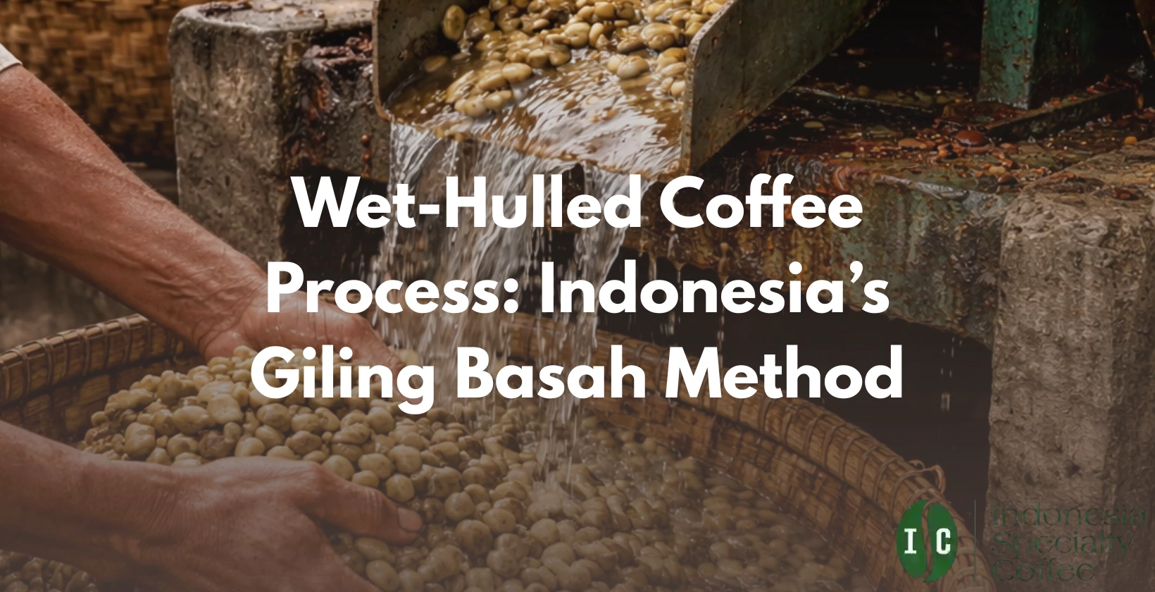 wet-hulled coffee process