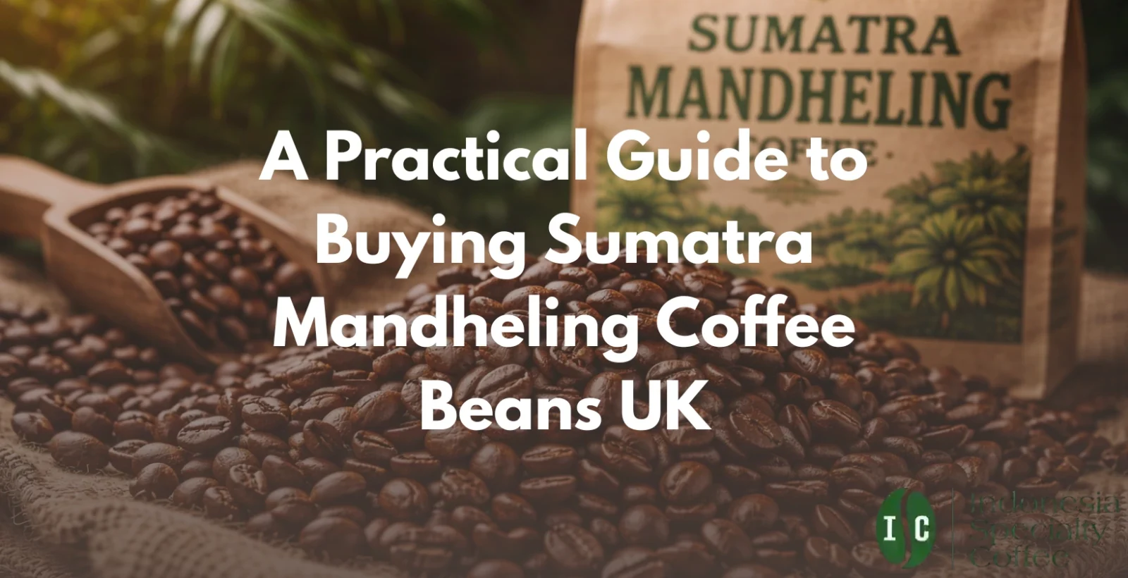 sumatra mandheling coffee beans uk