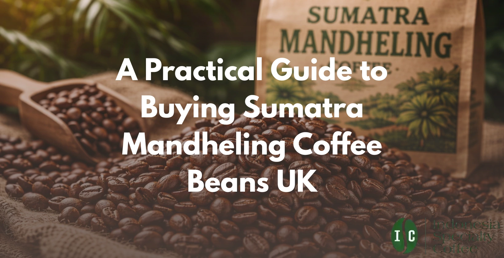 sumatra mandheling coffee beans uk