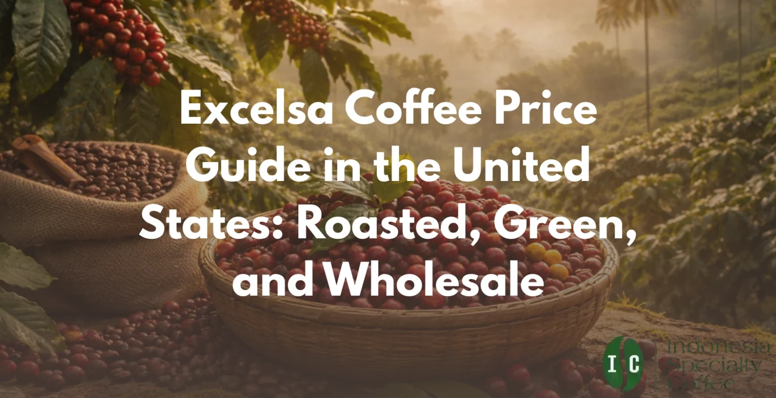 excelsa coffee price in united states