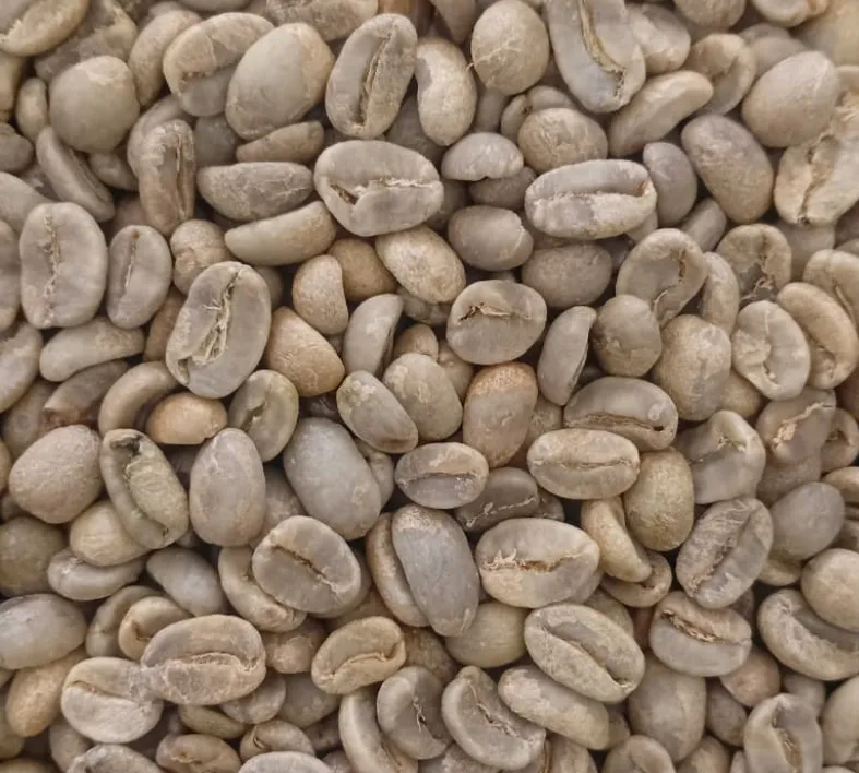 Java Natural Green Coffee Beans - Image 3