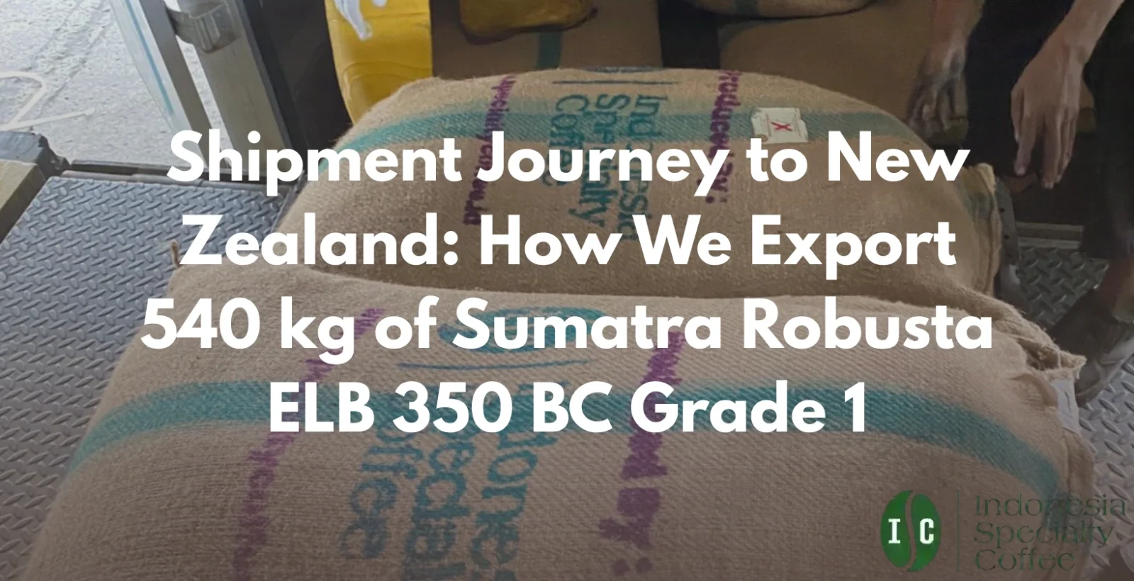 shipment new zealand