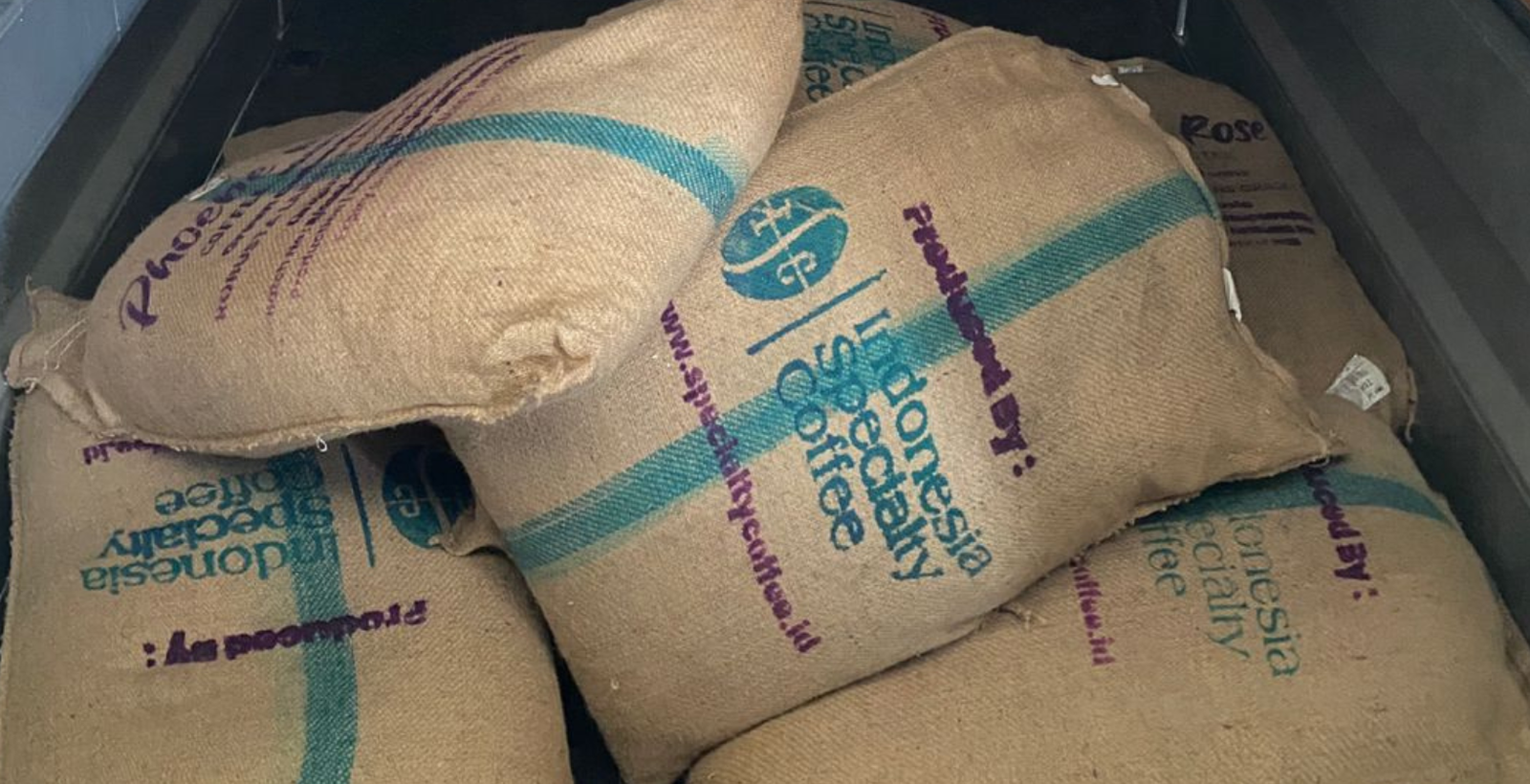 shipment new zealand