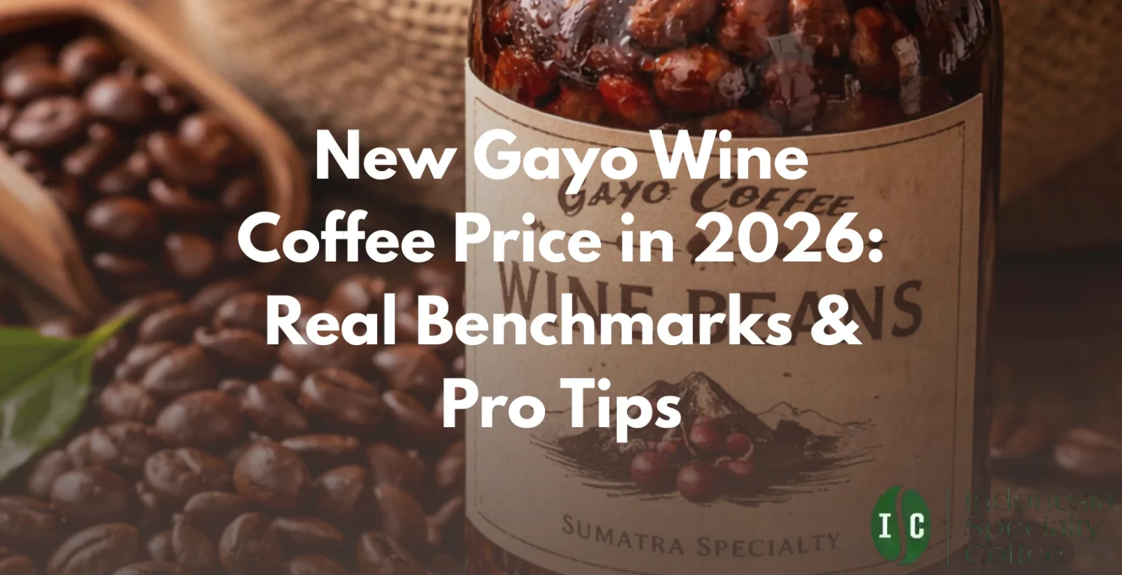 gayo wine coffee price