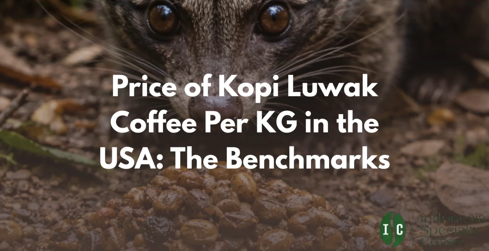 price of kopi luwak coffee per kg