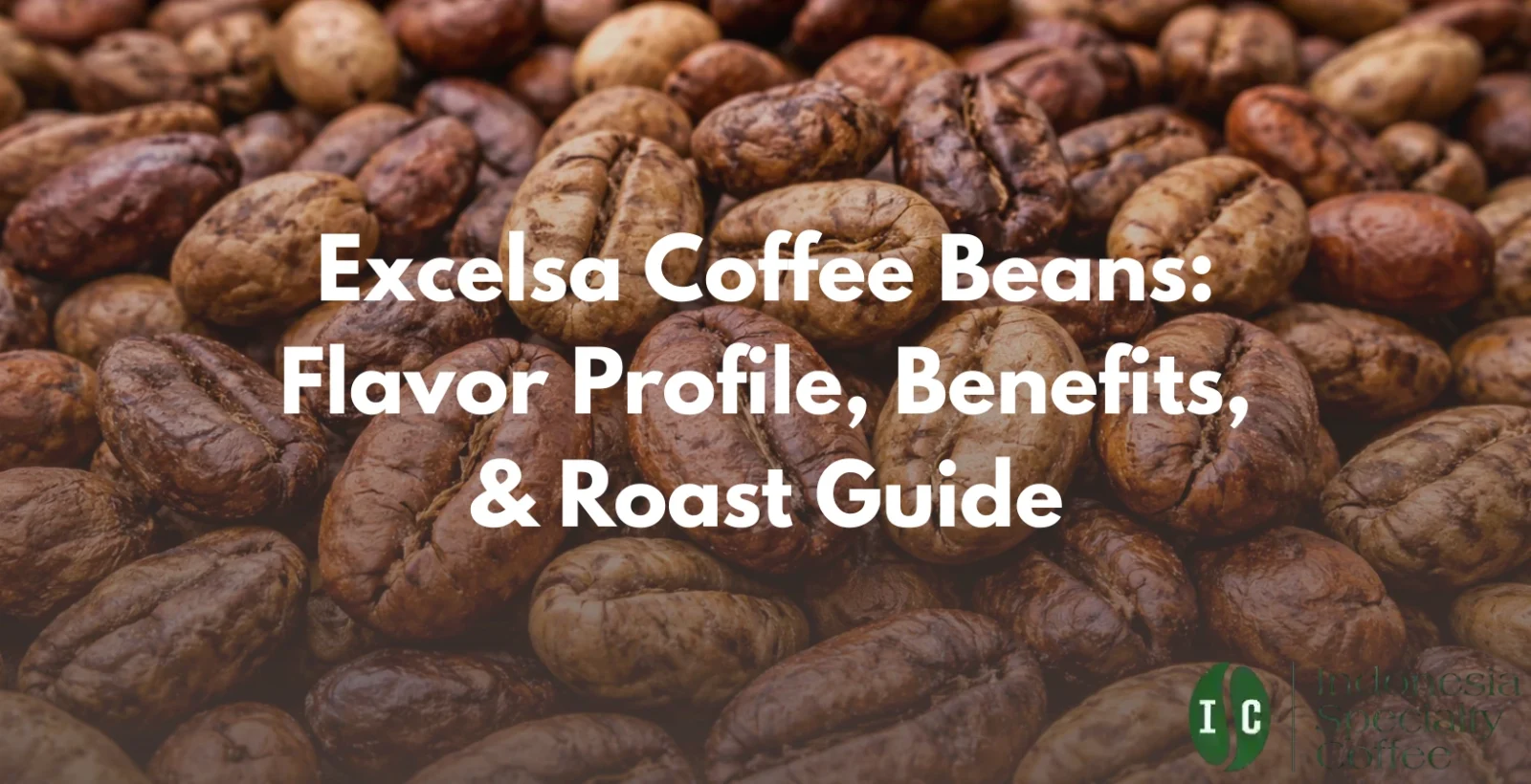 excelsa coffee beans