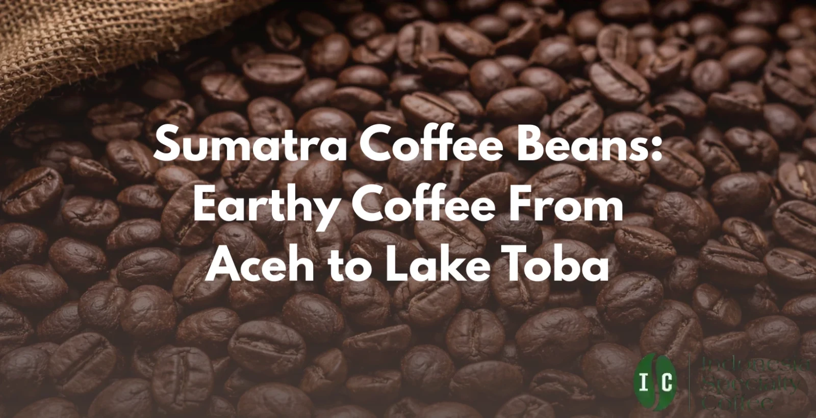 sumatra coffee beans