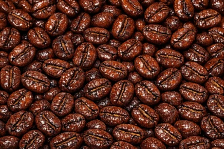Gayo Honey Roasted Coffee Beans