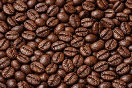 Gayo Natural Roasted Coffee Beans