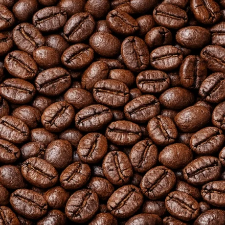 Gayo Natural Roasted Coffee Beans
