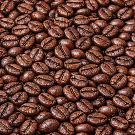Kalosi Roasted Coffee Beans