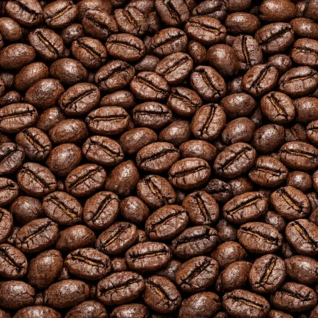 Musty Cup Roasted Coffee Beans