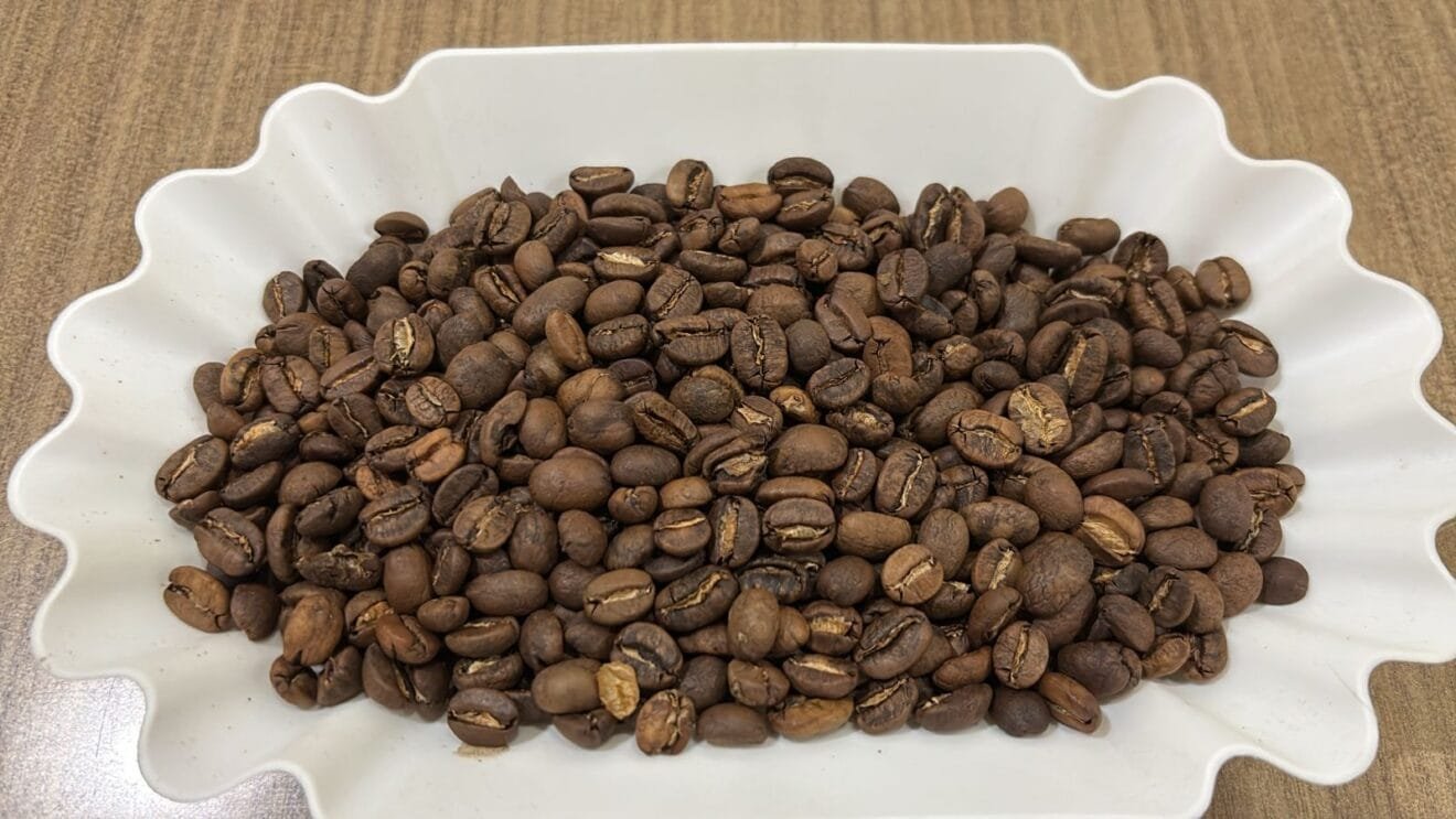Granos de café verde Toraja de Sulawesi