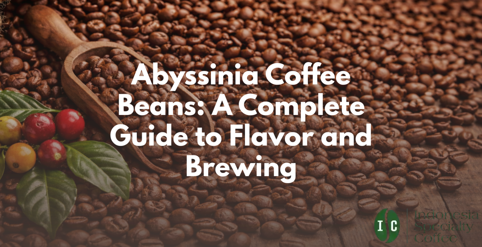 abyssinia coffee beans