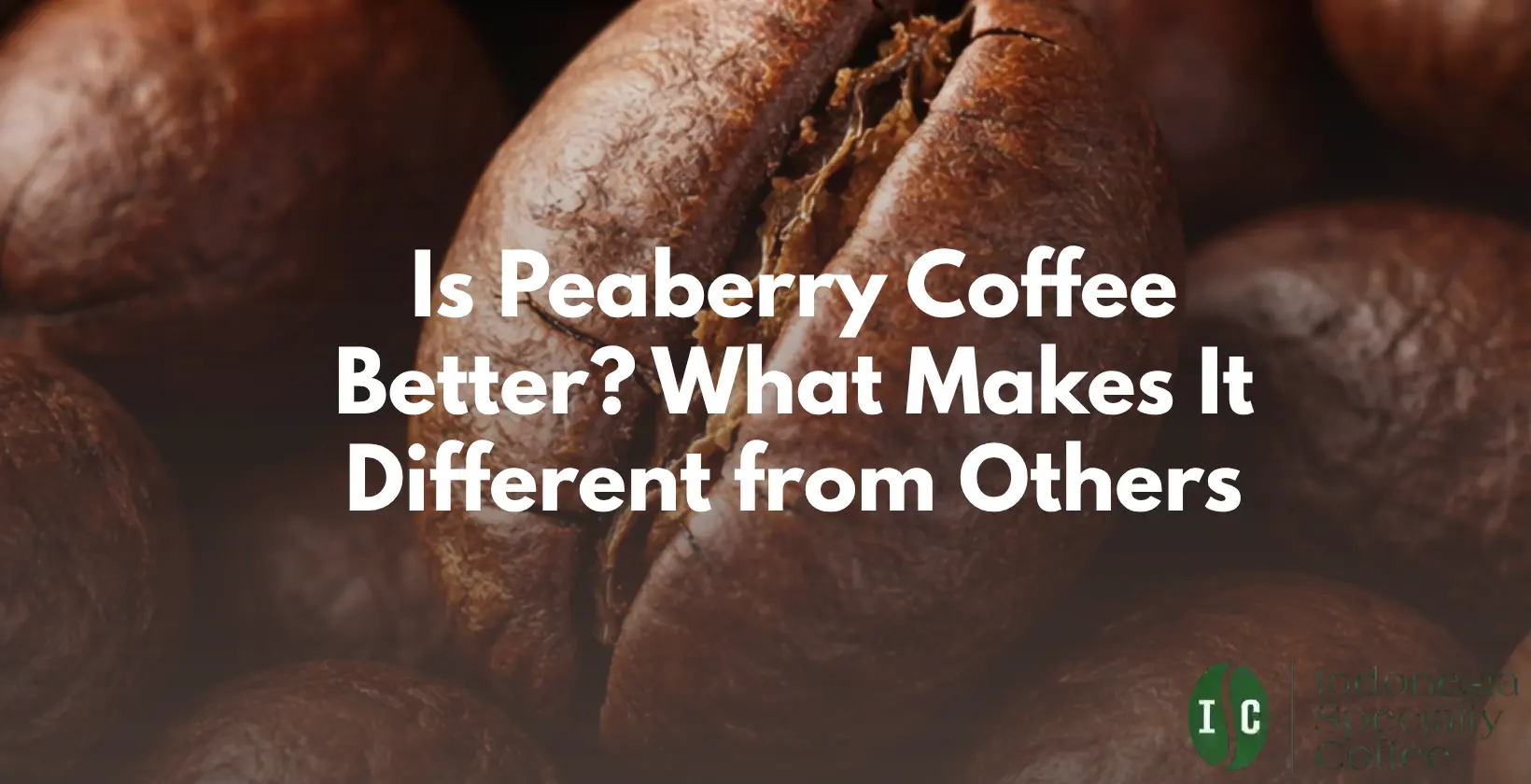 is peaberry coffee better