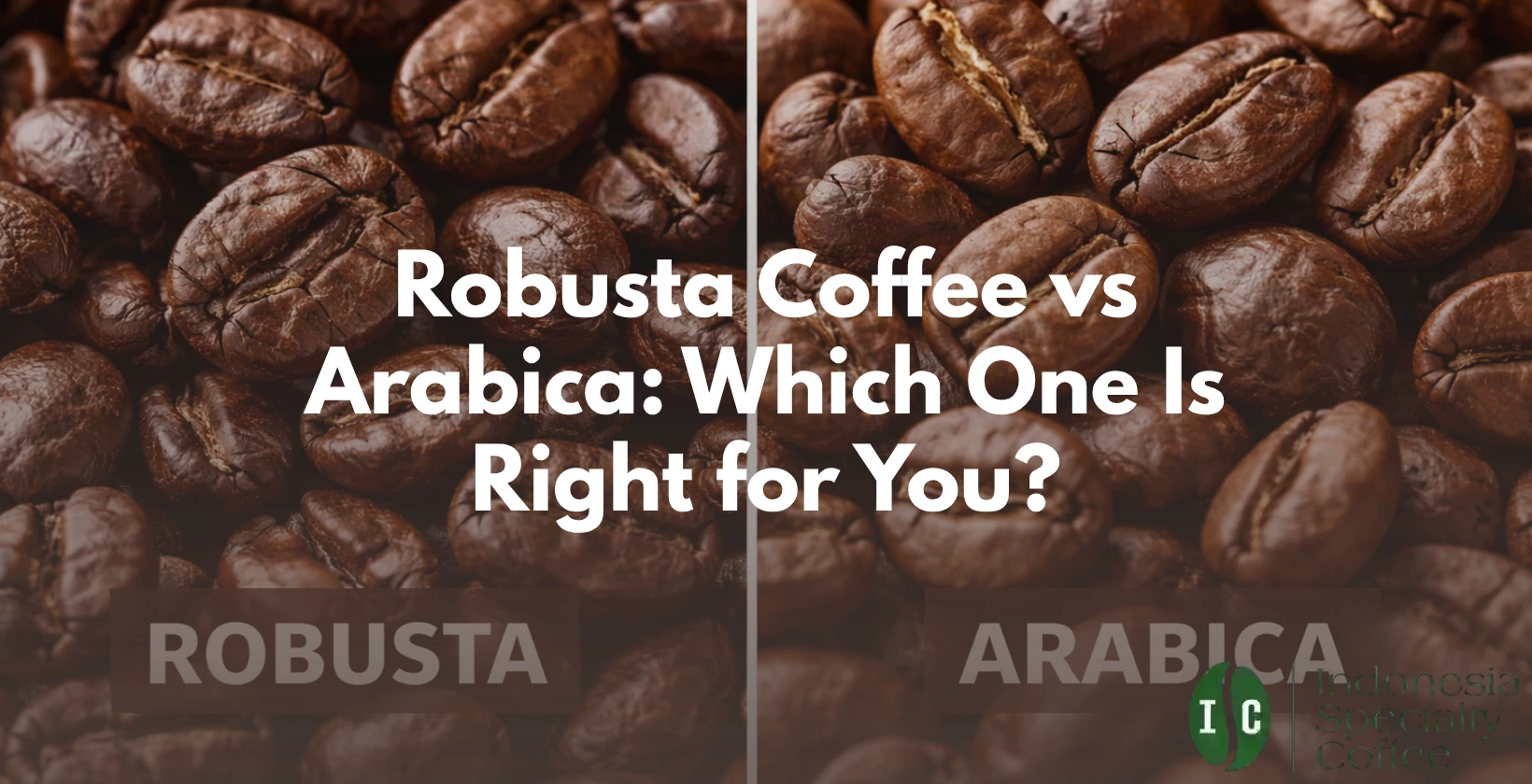robusta coffee vs arabica