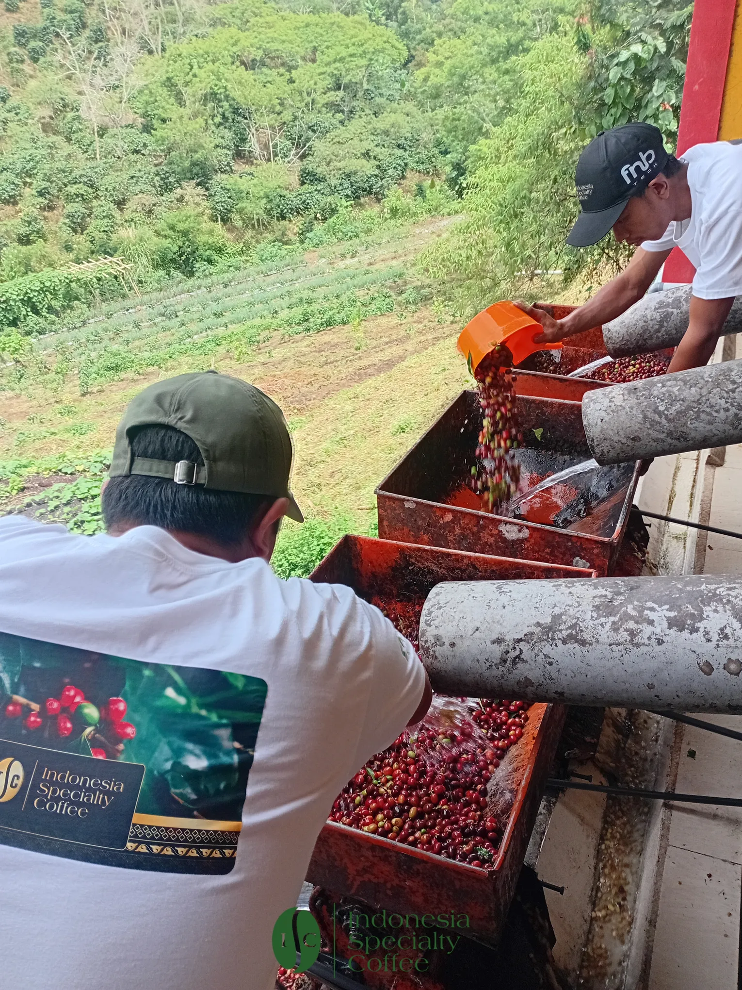 Pulping Station