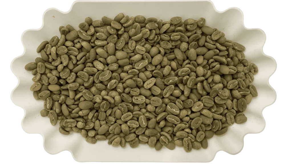 Arabica Aceh Gayo Full-Washed Dry Hulled