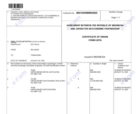 Export Documentation