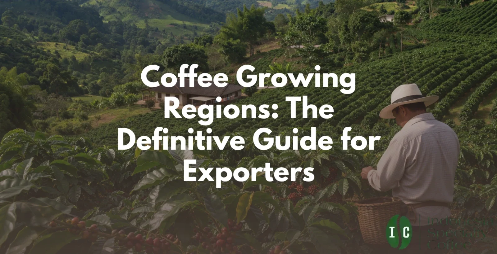 Coffee Growing Regions: The Definitive Guide for Exporters