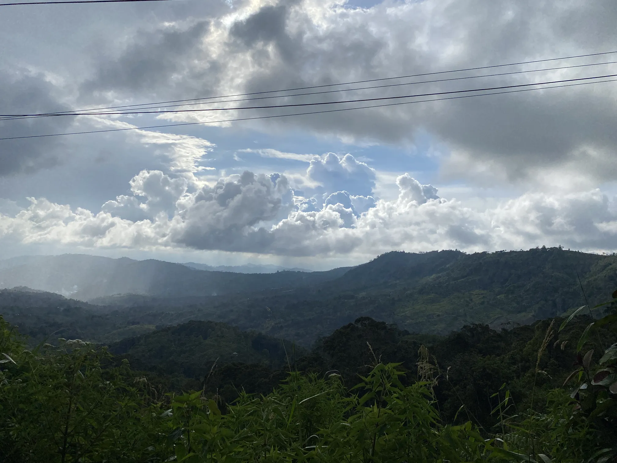 Gayo Highlands