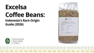 Excelsa Coffee Beans Indonesia's Rare Origin Guide (2026)
