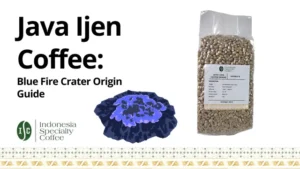 Java Ijen Coffee Blue Fire Crater Origin Guide