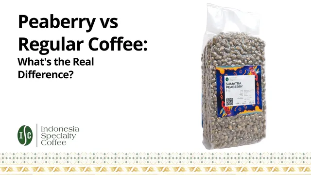 Peaberry vs Regular Coffee: What’s the Real Difference? (2026 Buyer’s Guide)