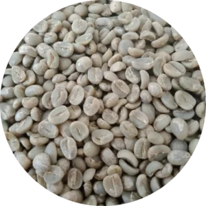 Arabica Toraja Sapan