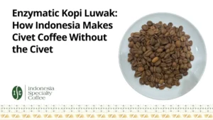 Enzymatic Kopi Luwak How Indonesia Makes Civet Coffee Without the Civet