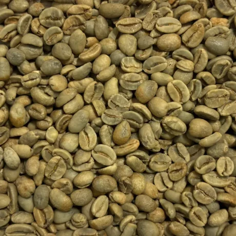 Gayo Anaerob Honey 85+ Green Coffee Beans