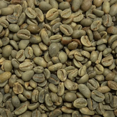 Gayo CM Natural 90+ Green Coffee Beans