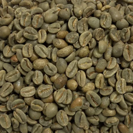 Gayo Natural Classic 90+ Green Coffee Beans